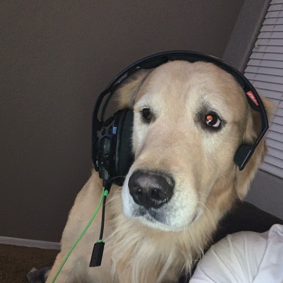 Meet your Posher, Kaleb - Picture 1 of 1